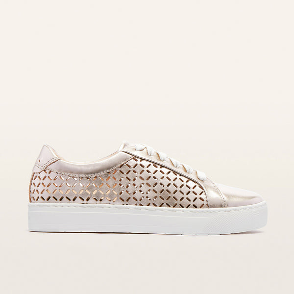 Mim V Champagne Lattice
