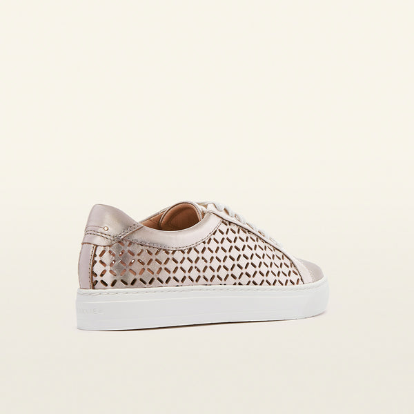 Mim V Champagne Lattice