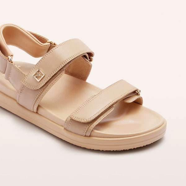 Rome Camel