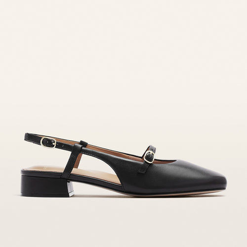 Iris Black