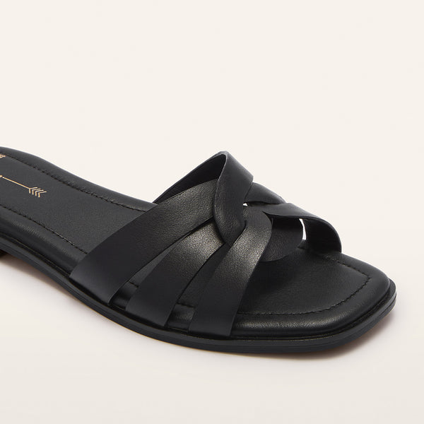 Jac Black