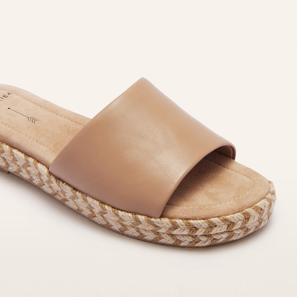 Lucia Camel