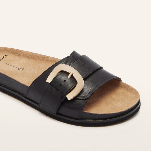 Monterey Black