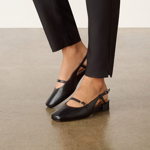 Iris Black